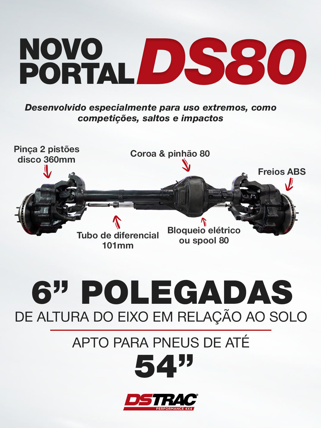 Eixo DSTRAC Portal DS80